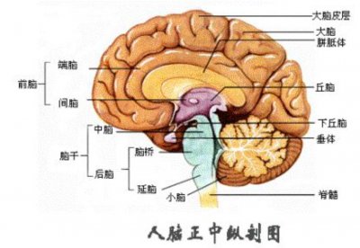 ​人类最终会消失吗（人类的结局终将以哪种方式消失）