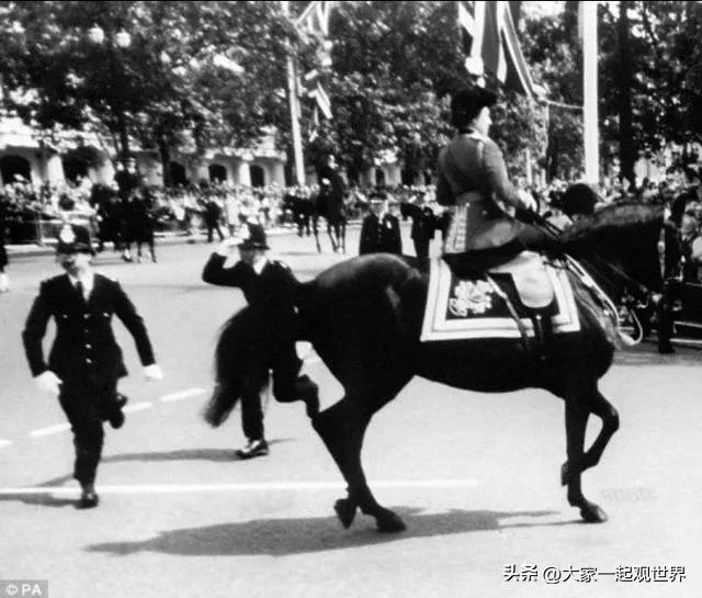 丁字裤（俄罗斯女人的毛皮丁字裤）