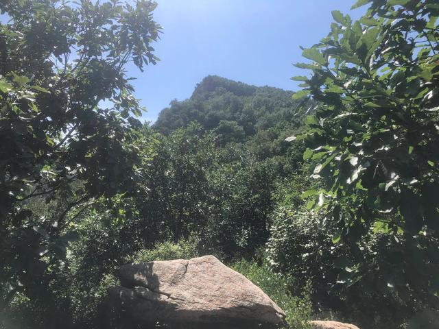 喇叭沟门国家森林公园自然风景区（喇叭沟门原始森林公园的美是我梦里依稀的山野故乡）(17)