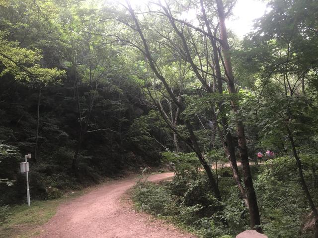 喇叭沟门国家森林公园自然风景区（喇叭沟门原始森林公园的美是我梦里依稀的山野故乡）(5)