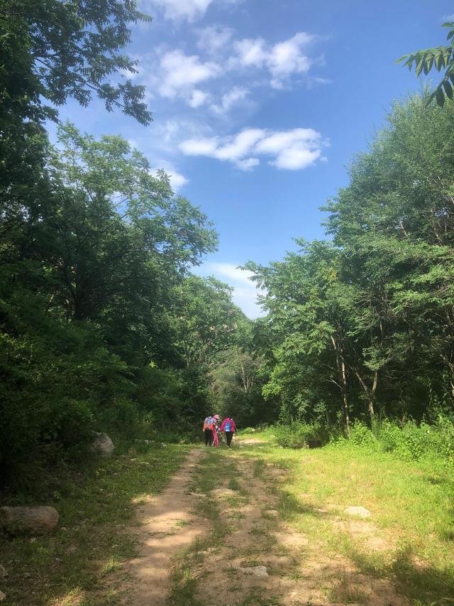 喇叭沟门国家森林公园自然风景区（喇叭沟门原始森林公园的美是我梦里依稀的山野故乡）(3)