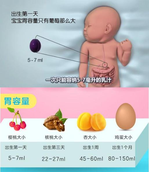 新生儿怎么进行母乳喂养（新生儿如何喂养）(2)