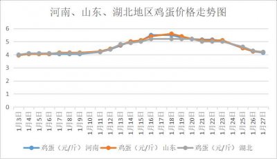 ​鸡蛋价格天天报价网：鸡蛋多少钱一斤(全国鸡蛋价格天天报价网)