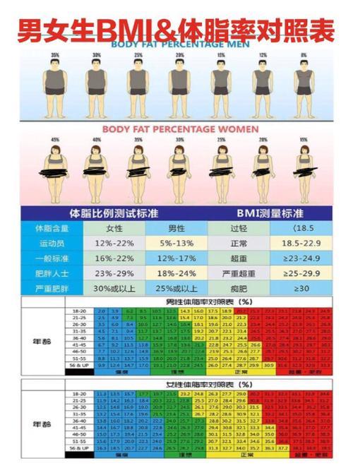 标准体脂率计算公式