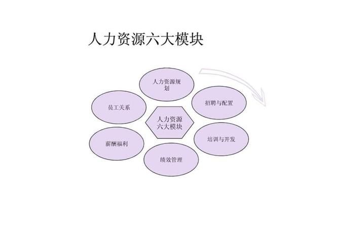 人力资源六大板块,人力资源六大模块包括哪些内容