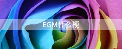 ​EGM是什么梗（egm是一个曾经流行的网络用语）