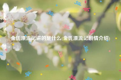 ​金氏漂流记讲的是什么(金氏漂流记剧情介绍)