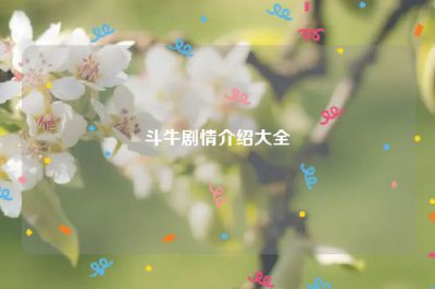 ​斗牛剧情介绍大全