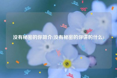 ​没有秘密的你简介(没有秘密的你讲的什么)