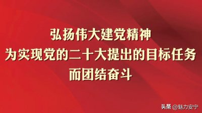 ​最新音乐喷泉播放时间发布！