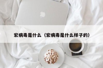 ​宏病毒是什么（宏病毒是什么样子的）