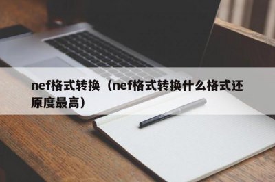 ​nef格式转换（nef格式转换什么格式还原度最高）