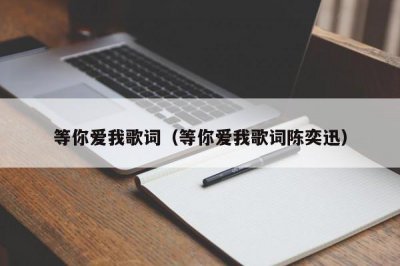 ​等你爱我歌词（等你爱我歌词陈奕迅）