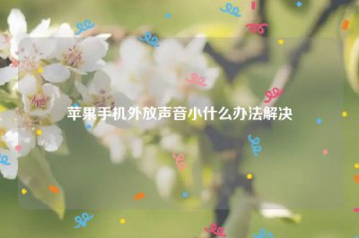 ​苹果手机外放声音小什么办法解决