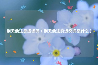 ​别无他法是成语吗（别无他法的近义词是什么）