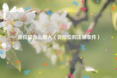 ​货拉拉怎么加入（货拉拉的注册条件）