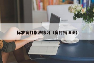 ​标准盲打指法练习（盲打指法图）