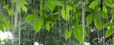 ​什么是煤矿雨季三防 煤矿企业雨季三防是哪三防