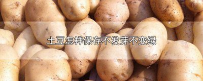 ​如果保存土豆不发芽 怎样储存土豆不发芽不变绿