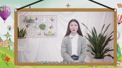 ​合欢树为什么叫 合欢花的树