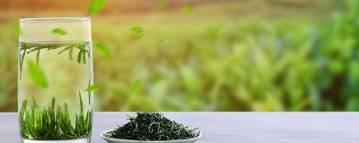 ​茉莉花茶是红茶吗 茉莉花茶是绿茶吗?