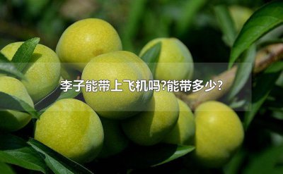 ​坐飞机可以带李子不 飞机能不能带李子