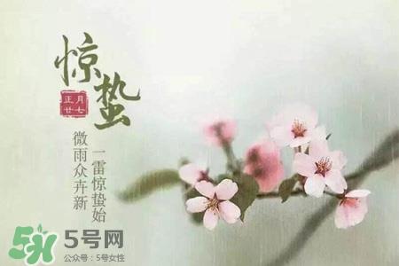 惊蛰喝什么茶好？惊蛰养生喝什么茶？