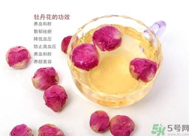 牡丹花可以泡水喝吗?牡丹花泡水喝有啥好处