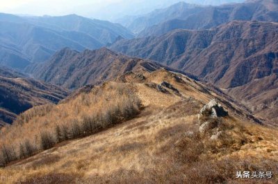 ​表里山河一词出自哪里（表里山河的说法最早出自于《左传》）