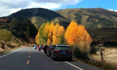 ​在川藏线上，遇到这两类女生搭车，一定拒绝，老司机：套路深！