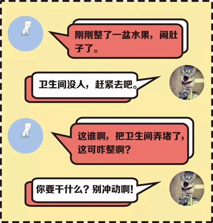 【必看】最近抖音爆火的“安排”是什么梗？来了解下~