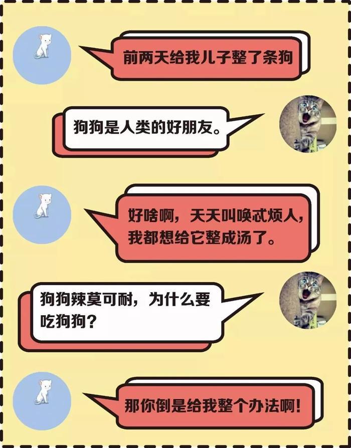 【必看】最近抖音爆火的“安排”是什么梗？来了解下~