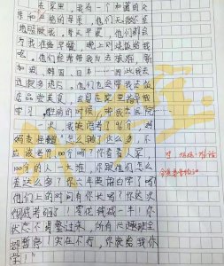 ​小学生英语96分，“神吐槽”作文气哭妈妈，老师看后笑趴在桌上