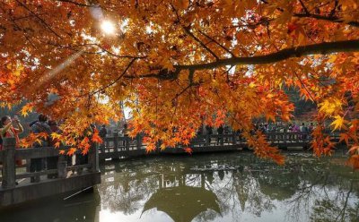 ​旅游小知识：四百八十寺在南朝时的南京城并不是一个夸张的数字