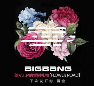 ​BIGBANG FLOWER ROAD中文歌词翻译 BIGBANG与粉丝的美好回忆