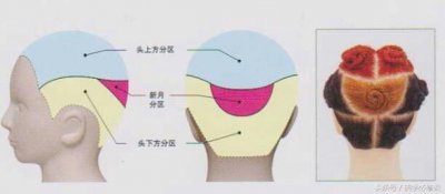 ​剪发必修课：详细解说“分区，角度，发片”学美发简单易懂，收藏