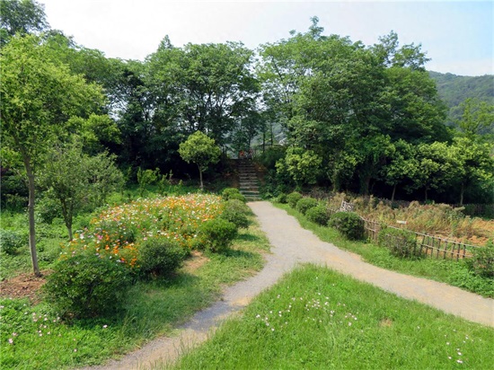 南京浦口老山下的不老村